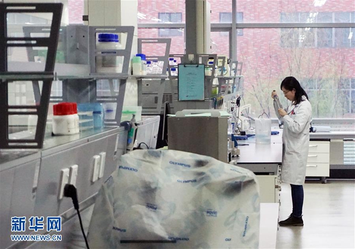 　　北京经济技术开发区一家制药公司的研发实验室（3月26日摄）。新华社发（张超 摄）