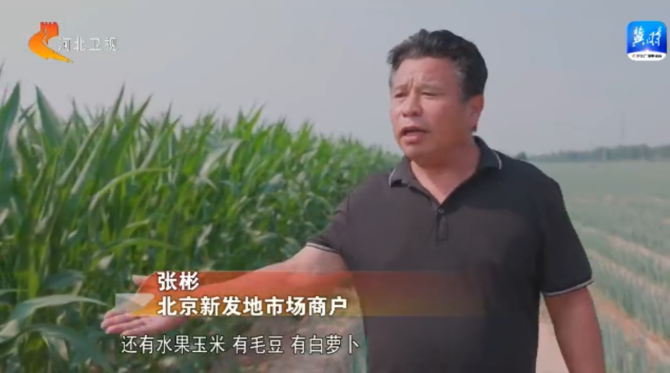 【Kaiyun官方网】中国式现代化的先行实践 | 京津冀农业协同发展 鼓起共富“钱袋子”(图2)