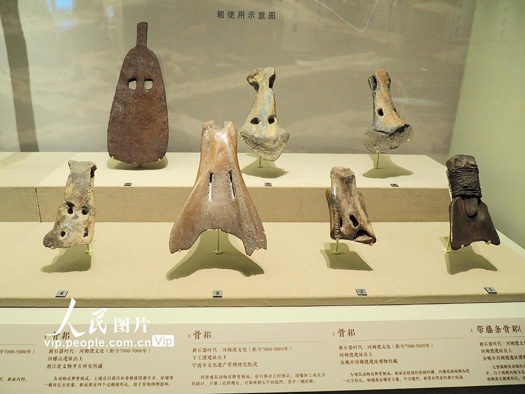 北京：河姆渡文化发现50周年考古成果特展对公众开放【7】